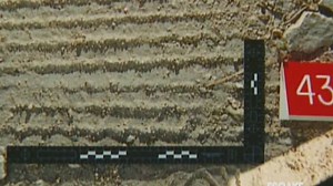 Forensic Files S06E11 ~ Photo Finish (2001)