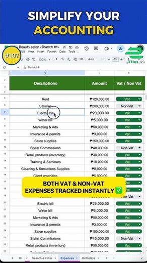 Simplify Your Accounting Instantly! 💼 Efiles Dashboard Automation Made Easy 🚀”