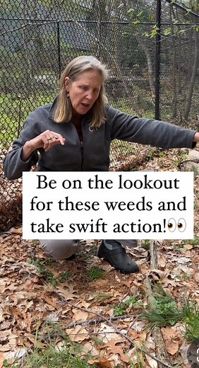 608K views · 2.2K reactions | This is what I'm starting to see...