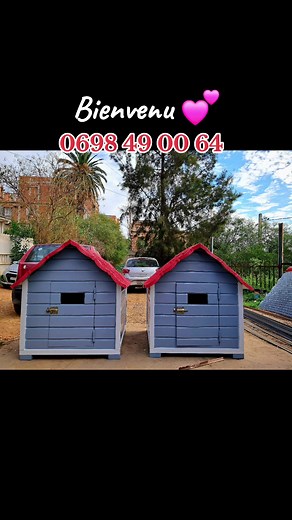Niche et cage pour chien disponibles en Algérie