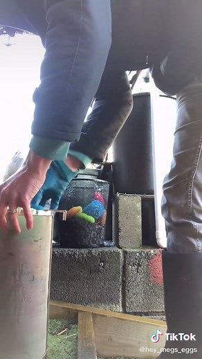 DIY Duck Pond Filtration System for Backyard Poultry