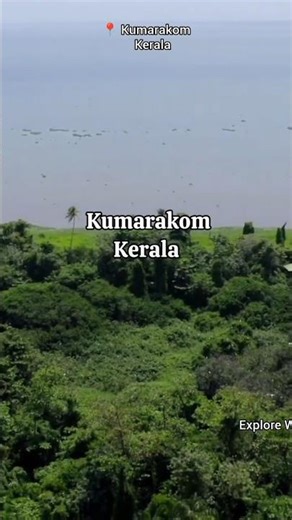 Waterlily Homestay🌿🏡💫Kumarakam, Kerala @Keralatourismveo