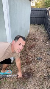 26K views · 12K reactions | Making a fancy pasta dish for my family #cooktok #pasta #cooking #thrivemarketpartner | Joey Foo | Facebook