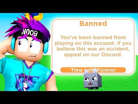 Why I was PERMANENTLY BANNED from Pet Simulator X...