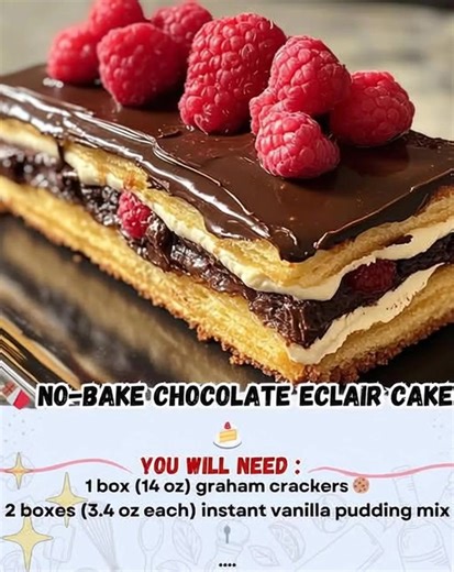 No-Bake Chocolate Éclair Cake (Original Recipe) Ingredients 2 packets graham crackers 3 cups cold milk 2 packets vanilla instant pudding mix 1 cup whipped cream or whipped topping 1 cup chocolate chips 3 tbsp butter 3 tbsp milk Instructions In a bowl, whisk milk and pudding for 2 minutes until thick. Fold in the whipped cream. In a rectangular dish, place a layer of graham crackers. Spread half of the pudding mixture over it. Add another layer of crackers, then the rest of the pudding, and finis