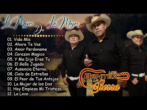 Lo Mejor de la Música Sierreña ~ Los Benítez ~ Mix de Guitarrazos y Grandes Éxitos