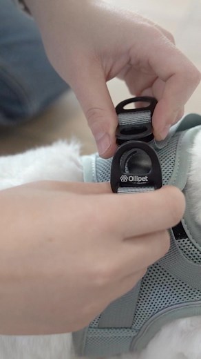 🐶 Med For Wagging Tails Step-In Selen bliver gå-turen lidt lettere. Sig farvel til besværet med seler over hovedet. Med Ollipet For Wagging tails Step-In Selen træder din hund nemt ind, den lukkes med et enkelt klik på ryggen – og så er I klar til eventyr. Den er lavet af blødt mesh. Hver tur bliver et lille øjeblik af ren logre-lykke 💕 | Cotonshoppen.dk