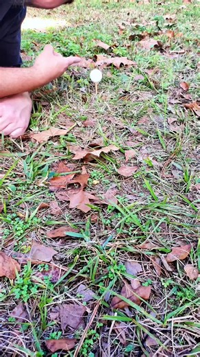 Ultimate Golf Gag: Izzo Exploding Golf Balls