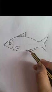 How to draw fish