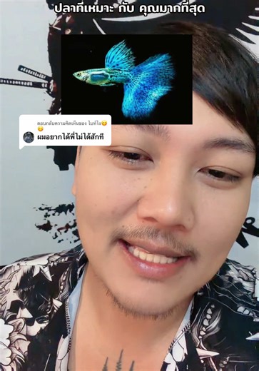 ตอบกลับ @ไบท์ไง😋😋 #เทรนด์วันนี้ #ฝากติดตาม #เสี่ยเอเพกาซัสช่องใหม่ #ปลาสวยงาม #เอฟเฟกต์ใหม่