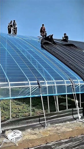 Equipment Installation Process for Covering a Large-Scale Greenhouse #smartfarming #gardeningtips