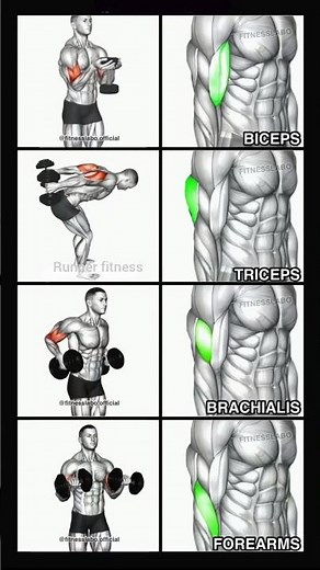 Complete Arm Workout 🎯 Target Biceps, Triceps & Brachialis 💪 #armday #workout