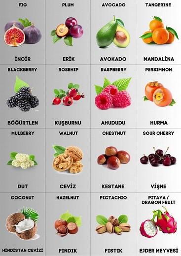 Everyday Turkish TikTok'ta