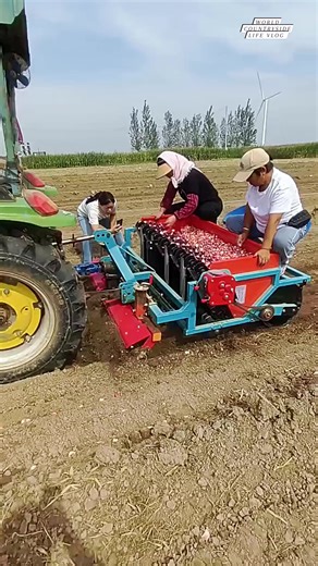 9K views · 80 reactions | China's smart garlic planting machine is revolutionizing farming!  #worldcountrysidelifevlog #GarlicFarming #AgriculturalInnovation #SmartFarming DISCLAIMER NO COPYRIGHT INFRINGEMENT INTENDED | World Countryside Life Vlog | Facebook