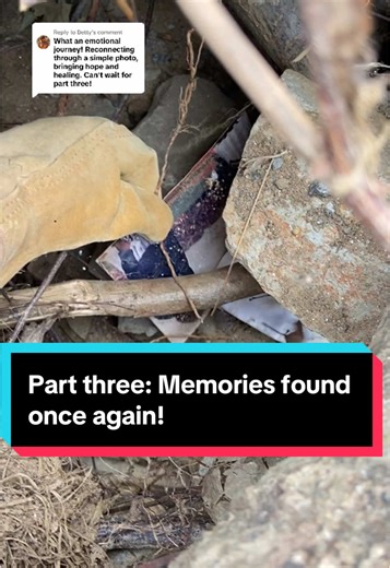Reuniting Lost Memories After Hurricane Helene