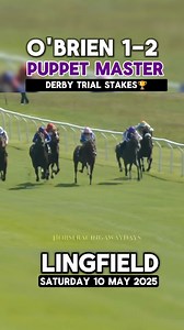 🟣PUPPET MASTER Wins The Derby Trial At Lingfield! Leading Home An Aidan O'Brien 1-2! #horse #derbytrial #lingfieldpark #horseracing | Horse Racing Away Days