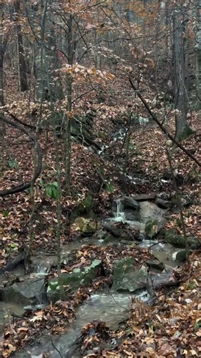 November Rain - Guns and Roses - Rural America