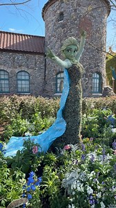 22K views · 767 reactions | The Anna and Elsa topiaries are up at EPCOT today for the upcoming EPCOT International Flower and Garden Festival. This year, Elsa even wears her iconic blue snowflake cape! #frozen #annaandelsa #elsa #freshepcot #epcot #wdw #waltdisneyworld #disneyworld #disneycharacters | Mousesteps | Facebook