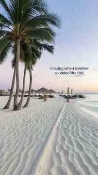 prime summer #su.mer #bro #fyp #real #prime