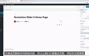 slider revolution 6.0 新选项和功能
