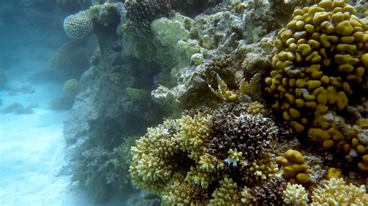 Forget plastic - the ocean floor is covered with nuclear waste, mustard gas and toxic chemicals