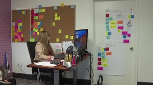 New Orleans police officer to face jury trial for shooting puppy