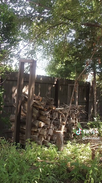 Comparison of Fuji Film FinePix Cameras from 2006 to 2022