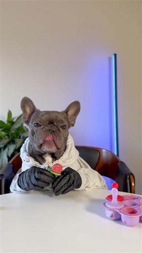 Marvel is testing the popsicles he made himself | Marvellen