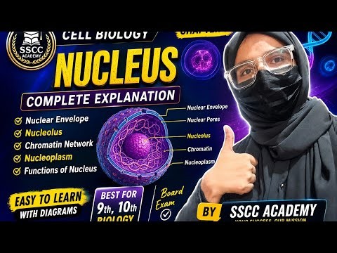 Cell Nucleus Complete Explanation | Nuclear Envelope, Nucleolus, Chromatin | Class 9 Biology