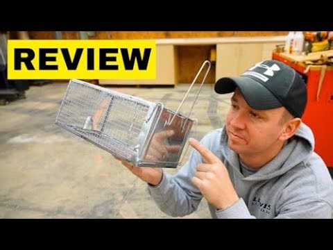 Best Animal cage trap | Live Demo of Mouse Trap Setup | Check Description👇