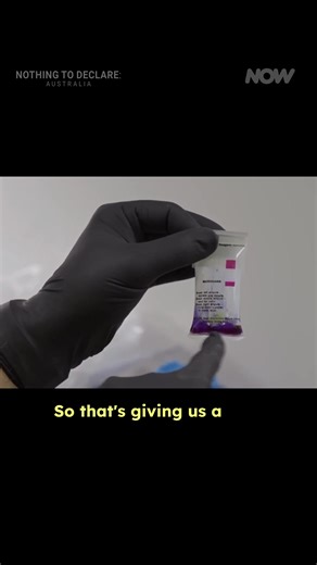 NOTHING gets past the Australian Border Force 🛑🖐️ #NothingToDeclare #BorderSecurity #AirportTV #CustomsDrama #AussieBorderForce #TravelFails #BorderControlTV #RealityTVGold | NOW