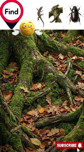 Can You Spot the Hidden Character? 😱 | Epic Transformation Short#viral