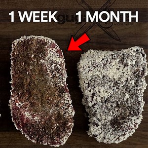 I Used a Special Japanese FUNGUS to Dry Age Steak Faster! | Guga Foods