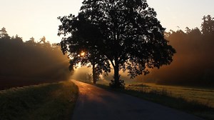 Imam al-Ghazali on Guarding the Tongue