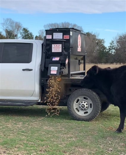 Custom Feed Truck Build Using Texas-Made Products