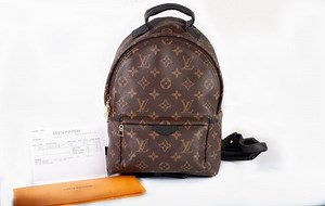 Authentic Louis Vuitton Monogram Palm Springs PM Backpack | eBay