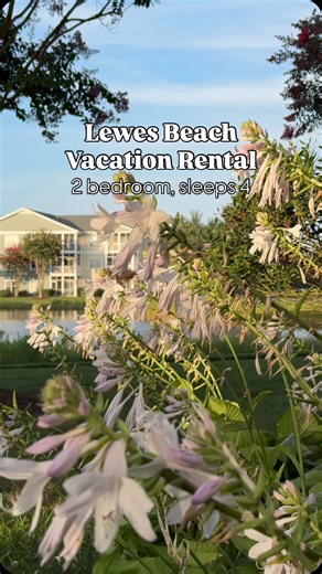 DEL 302 Management | Delaware Beach Rentals on Instagram: "Stay in Lewes Beach at this vacation rental! It’s a “Pondside Paradise” with serene pond views and beautifully decorated rooms! This rental features: 🛏️ 2 bedrooms, 3 beds, sleeps 4 🐕 Dog friendly 🏊 Pool access easily walkable 🚲 Nearby Georgetown Lewes biking trail 🎾 Tennis and pickleball courts 🐢 Pond views from screened porch 🏖️ Couple miles to Lewes beach Stay at this rental, or find another beautiful place on our page! 🔗 in “