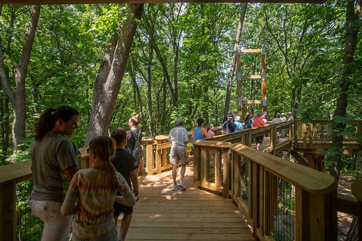 See what it’s like to walk through the treetops high above Michigan’s Irish Hills
