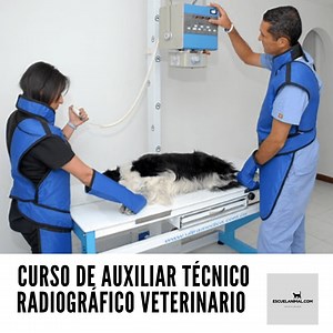 Curso de Auxiliar Técnico Radiográfico Veterinario