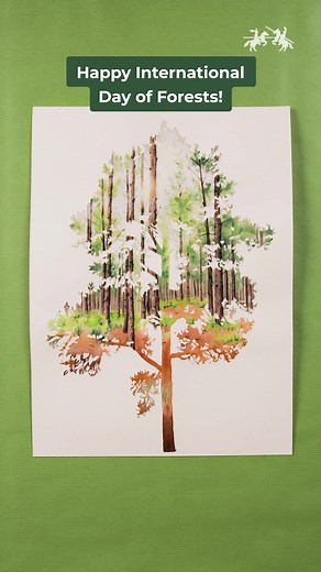 Happy International Day of Forests! On this special day, we celebrate and raise awareness of the importance of all types of forests. A change towards sustainability needs creative solutions. We at Faber-Castell grow by taking on new challenges and developing sustainable ideas. In parallel to our growth, a truck load of wood grows every hour in the 10,000 hectares of our own forests in Brazil. This is made possible by planting 300,000 seedlings each year in order to ensure constant reforestation.