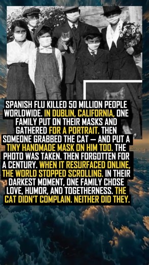 A Family in 1918 Did Something With Their Cat During the Pandemic\\{"simpleText":"Sign in"}{"simpleText":"Sign in"}{"runs":[{"text":"Save"}]}Want to watch this again later?Legacy TV{"simpleText":"Personalized"}{"simpleText":"None"}{"runs":[{"text":"Unsubscribe"}]}Legacy TV?Legacy TV?Comments32:11{"content":"BE AMAZED","styleRuns":[{"startIndex":9,"styleRunExtensions":{"styleRunColorMapExtension":{"colorMap":[{"key":"USER_INTERFACE_THEME_DARK","value":4289374890{"content":"431K views"}{"content":