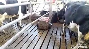 Lely Discovery ( with water feature) cleaning solid floors, slatted area & collecting area on 2 Robot farm in County Laois | Lely Center Mullingar Robotic Milking