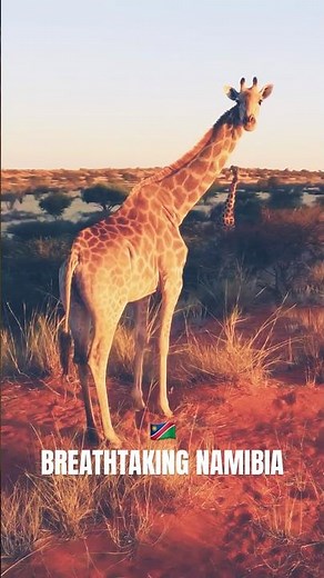 Namibia Will Leave You Speechless 🇳🇦