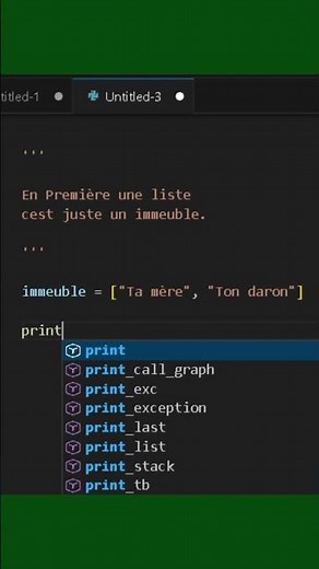 Comprendre c'est quoi une liste en Python - Spécialité NSI Terminale