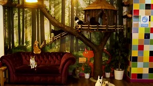 Attention all paw-some hoomans! 🐱 We are super excited to share with you this a-meow-zing video all about our Kitty Café kitties. 🌟 Check it out and don’t furrrrget to share it with all your meow-vellous friends! 🐾 | Kitty Café