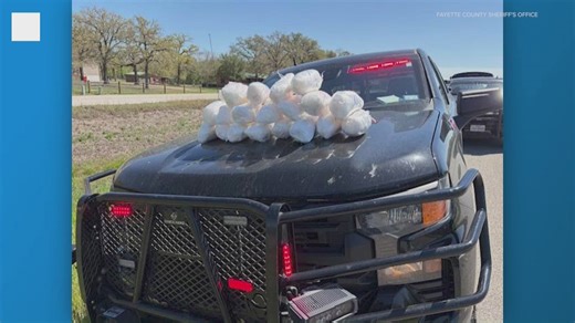 Over 42 pounds of suspected meth seized in Fayette County