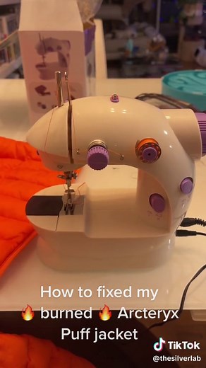 The Silver Lab on TikTok