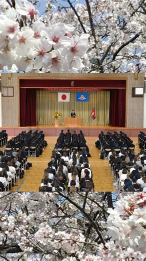 静岡県立静岡商業高等学校【公式】 | 入学式 210名が静岡商業の新しい仲間になりました。クラスや部活動等で絆を深め、それぞれの夢を実現できるよう頑張って！ #静岡商業 #seisho #入学式 #さくら #高校 #静岡市 #新たな一歩 | Instagram
