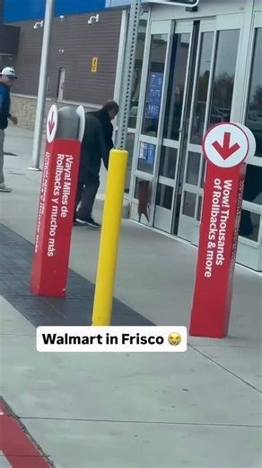 Citizen App | Safety on Instagram: "A couple piglets were on the loose over the weekend in front of a Walmart in Frisco, Texas. #citizen #citizenapp #protecttheworld"