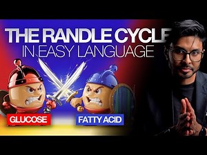 The Randle Cycle: Biochemistry Simplified & Explained In Plain English